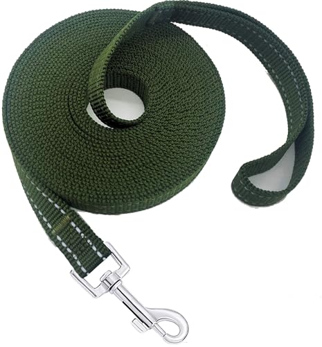 Nylon Training Dog Leash