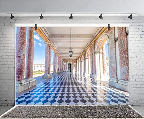 LFEEY 5x3ft Versailles Backdrop Famous Scenic Spots in France Photography Background Historic Building Mosaic Floor Blue Sky Holiday Party Backdrop Wedding Shooting Photo Studio - Thumbnail 3