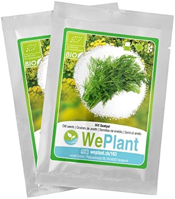BIO/ORGANICO Eneldo - Semillas ecológicas de plantas naturales ...