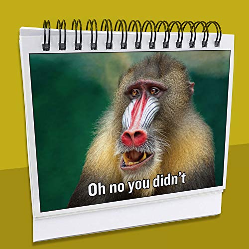 2 Coworkers+Hilarious+Accessories+Everyone+Business