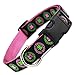 Irish Dog Collar with Celtic Knots on Pink Nylon, Large Dogs 35-60lbs (Collar: 1