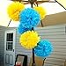 Life Glow 12Pcs Pom Poms of 10