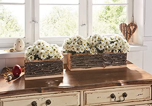 Dekoleidenschaft Pflanzkasten „Zweige“, 45x13 cm, aus recyceltem Holz & Birkenzweigen, Blumenkasten, Pflanzschale… – Bild 7