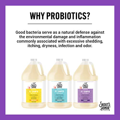 SKOUT'S HONOR: Probiotic Pet Shampoo - for Naturally Balanced and Healthier Looking Skin and Coat