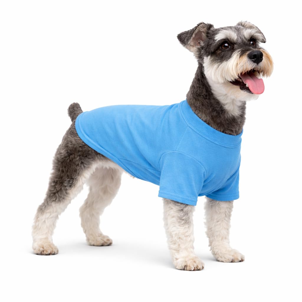 Lovelonglong Pet Clothing Dog Costumes Basic Blank T-Shirt Tee Shirts for Small Dogs Lake-blue L