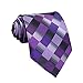 Secdtie Men's Classic Checks Purple Grey Jacquard Woven Silk Tie Necktie