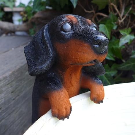 Amazon 犬の置物 ダックス ハンギングドッグ ６１４５ｈ いぬ イヌ 動物 オーナメント ガーデン オブジェ 庭 雑貨 ガーデニング インテリア マスコット 置物 オブジェ オンライン通販