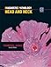 Diagnostic Pathology: Head and Neck