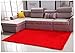 Bnxbb Ultra Soft 4Cm Thick Indoor Fluffy Thick Indoor Area Rug for Home Decor Living Room Bedroom Kitchen Dormitory Rectangle,Size:24 x 47 Inch (60Cm X 120Cm) Chinese Red