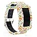 Samsung Gear Fit2 / Gear Fit2 Pro Watch Band,Budesi Replacement Strap For Samsung Smart Watch Galaxy Gear Fit 2 SM-R360 Fit 2 Pro Fitness Tracker
