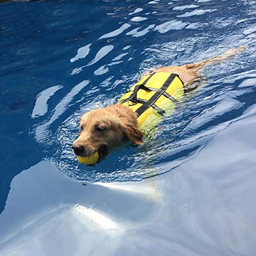 C&L Pet Dog Life Jacket Safety Vest Surfing Swimming Clothes Summer Vacation Oxford Breathable French Bulldog,Yellow,3XL