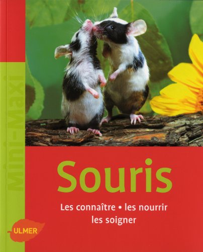 Souris