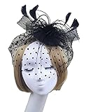Urban CoCo Women's Bow Feather Net and Veil Fascinator Cocktail Party Hair Clip Hat (Black-model 2),one Size