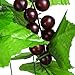 Meiliy 8FT 5pcs Artificial Greenery Chain Grapes Fake Vines Leaves Foliage Simulation Fruits for Home Room Garden Wedding Garland Outside Decoration