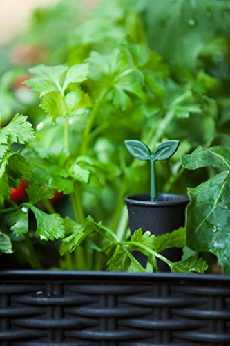 4 Keter+238699+Elevated+Garden+Anthracite