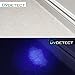 UV Detect UV Flashlight - Best LED Ultra Violet Blacklight for Pet Stains - Cat Stain Detector, Dog Stain Detector Torch - Find Stains on Carpet, Rugs, and Furniture - Includes 3 AAA Batteries