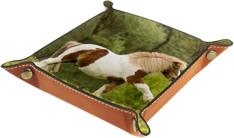 Desheze Pferd (3) Faltbare Aufbewahrungsbox für Zuhause und Büro