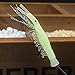 JSHANMEI 10 Packs Luminous Shrimp Bait Rigs Glitter Glow in The Dark Fishing Lures Saltwater Bait Lure Catching Hook Tackle Fishing Rigs
