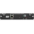Klark Teknik DN32-WSG Expansion Card for 32 Channel Low-Latency AoIP in WAVES SoundGrid Networks