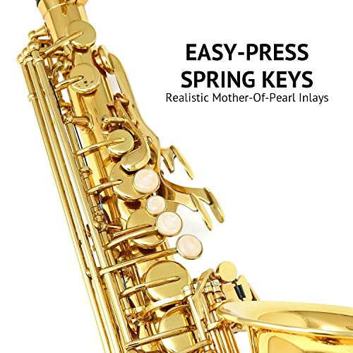 LyxJam Alto Saxophone - E Flat Brass Sax Beginners Kit, Mouthpiece, Neck Strap, Cleaning Cloth Rod, Gloves, Cork Grease, Hard Carrying Case w/ Removable Straps, Maintenance Guide - 10 BONUS Reeds (C - Thumbnail 5
