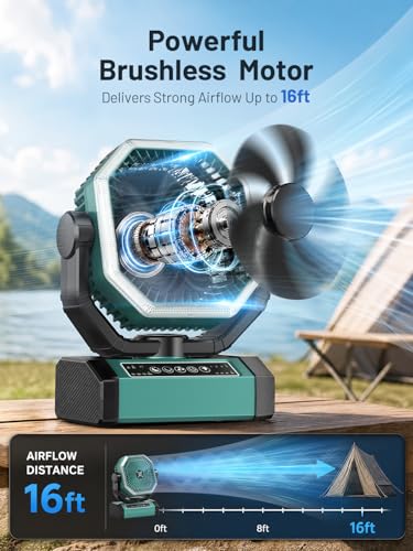Portable Rechargeable Fan - 9-Inch Camping Fan for Tent, 24000mAh(60Hrs) Battery Operated Fan for Camping, Auto Oscillation Cordless Fans, Tent Fan with Remote/Light, 4 Speeds, 4 Timing, Outdoor