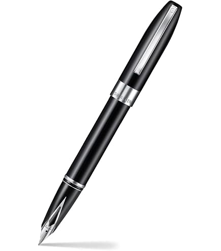 Amazon.com : Sheaffer Series 300 Glossy Black Fountain Pen and
