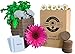 Flowers Seed Starter Kit - Flower Seeds for Planting an Indoor Garden Kit | Starting Indoor Gardening Grow Kit with Plant Soil Mix | Potting Sprouting and Growing Plants Indoors - By Mr Sprout