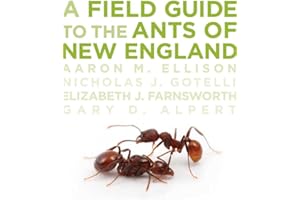 A Field Guide to the Ants of New England