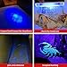 100 LED Black Light UV Flashlight Professional 395 NM UV Detector for Pet Urine Detection Cat Urine, Bed Bugs, Scorpions, Machinery Leaks Inspection for Commercial/Domestic Use