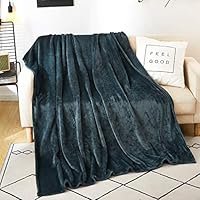 SAIWER Fleece Blanket Throw Size Lightweight Super Soft Cozy Luxury Bed Blanket Microfiber for Bed Sofa AC Room Beach Picnic Fall Spring Winter Use (Dark Grey, Throw (50"x60"))