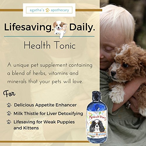 1 Agathas+Pet+Wellness+Prebiotic+Prebiotics