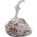 Seashells Mixed Bag of 200 Assorted Piece Bulk Pack for Home Kitchen Offices Indoors and Outdoors Wedding Baby Shower Birthday Summer Beach Nautical Theme Kids Party Favor Craft Supplies Décor