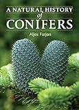 A Natural History of Conifers by Aljos Farjon