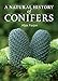 A Natural History of Conifers by Aljos Farjon