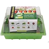 Miniaturgarten - Zimmergarten, kleine mobile Gartenanlage - der Garten