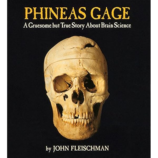 Phineas Gage A Gruesome But True Story About Brain Science Fleischman John Amazon Com Books