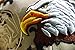 American Flag Hat - USA Eagle Baseball Cap with 100,000 Embroidery Stitches (Camo), Great Gift for Dad