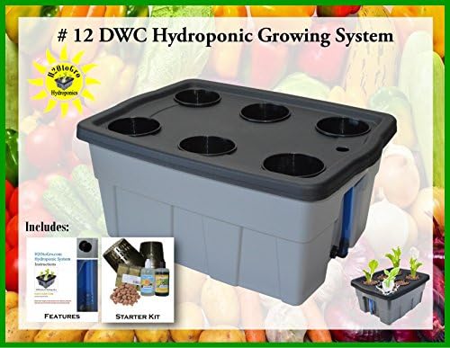 Hydroponic Complete Growing System DWC Kit #12 6-site H2OtoGro