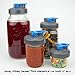 County Line Kitchen Wide Mouth Mason Jar Flip Cap Lid, Durable, Airtight, Leak-Proof Seal - Blue, 3 Pack
