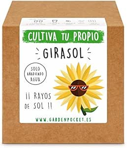 Garden Pocket - Kit Cultivo Girasol: Amazon.es: Jardín