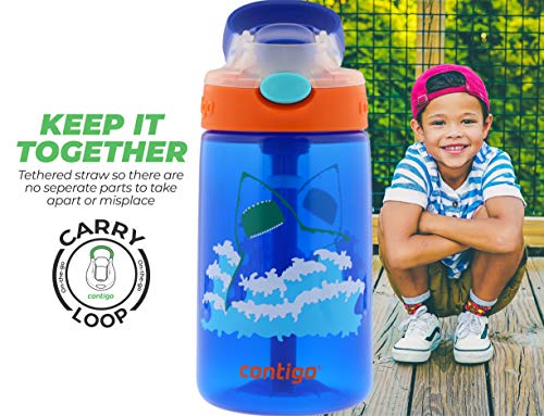 gizmo hot water bottle