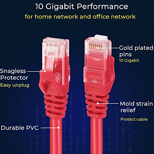 51zXCBb5-cL.jpg