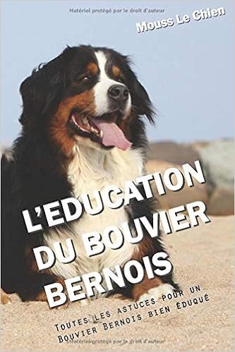 Amazon Fr L Education Du Bouvier Bernois Toutes Les Astuces Pour Un Bouvier Bernois Bien Eduque Le Chien Mouss Livres