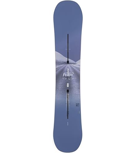 Amazon.com : Burton Feelgood Womens Snowboard, 149 : Sports