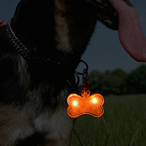 Higo LED Dog Tags, Glow in The Dark Dog Accessories Pet ID Tag, Light