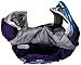 CamelBak Women's 2016 Charm Hydration Pack, Parachute Purple/Blue Depths
