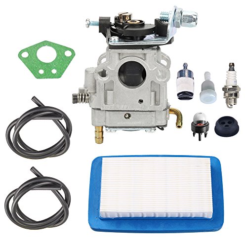 Panari A021003941 Carburetor + Tune Up Kit Air Filter for Echo PB770 PB770H PB770T Leaf Blower