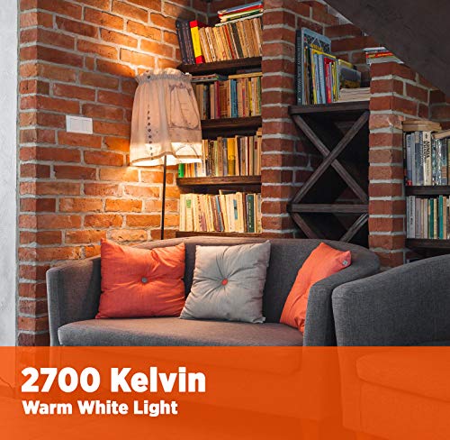 GoodBulb 60 Watt Light Bulbs, Dimmable A19 Bulb with E26 Base, Rough Service Bulb, Frosted Energy-Efficient Incandescent Bulbs, 525 Lumens, 130 Volts, for Various Light Fixtures (24 Pack)