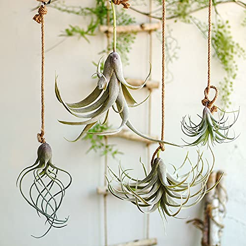 Artificial Air Plants Fake Flocking Tillandsia Succulents Faux