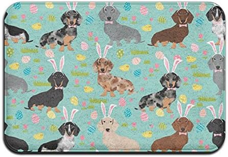 Dachshund Animal Personalized Super Soft Memory Foam Thin 15.7'' W?23.6'' L Environmental Door Mats Rectangular Doormat